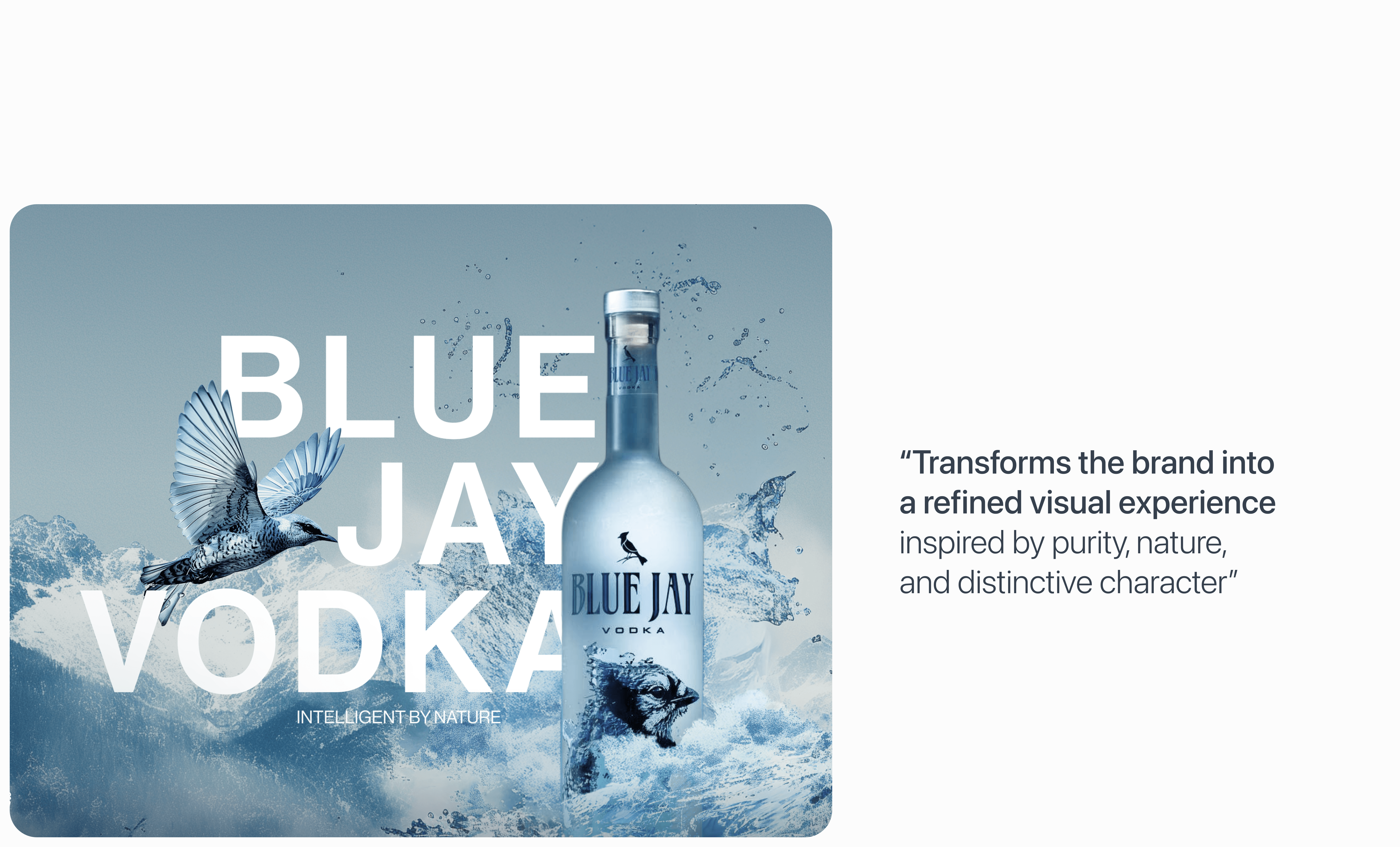 Blue Jay — composition