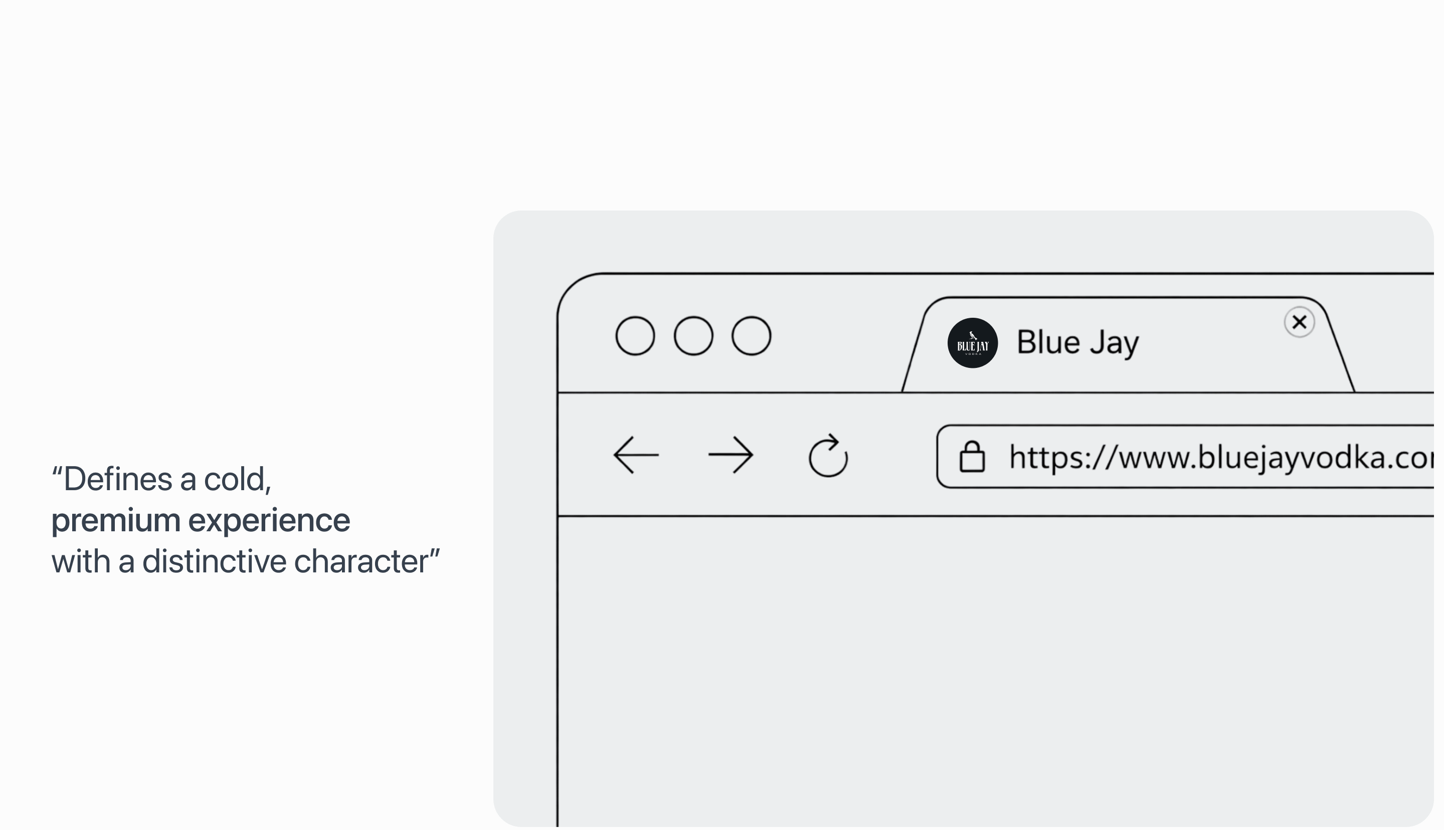 Blue Jay — pattern
