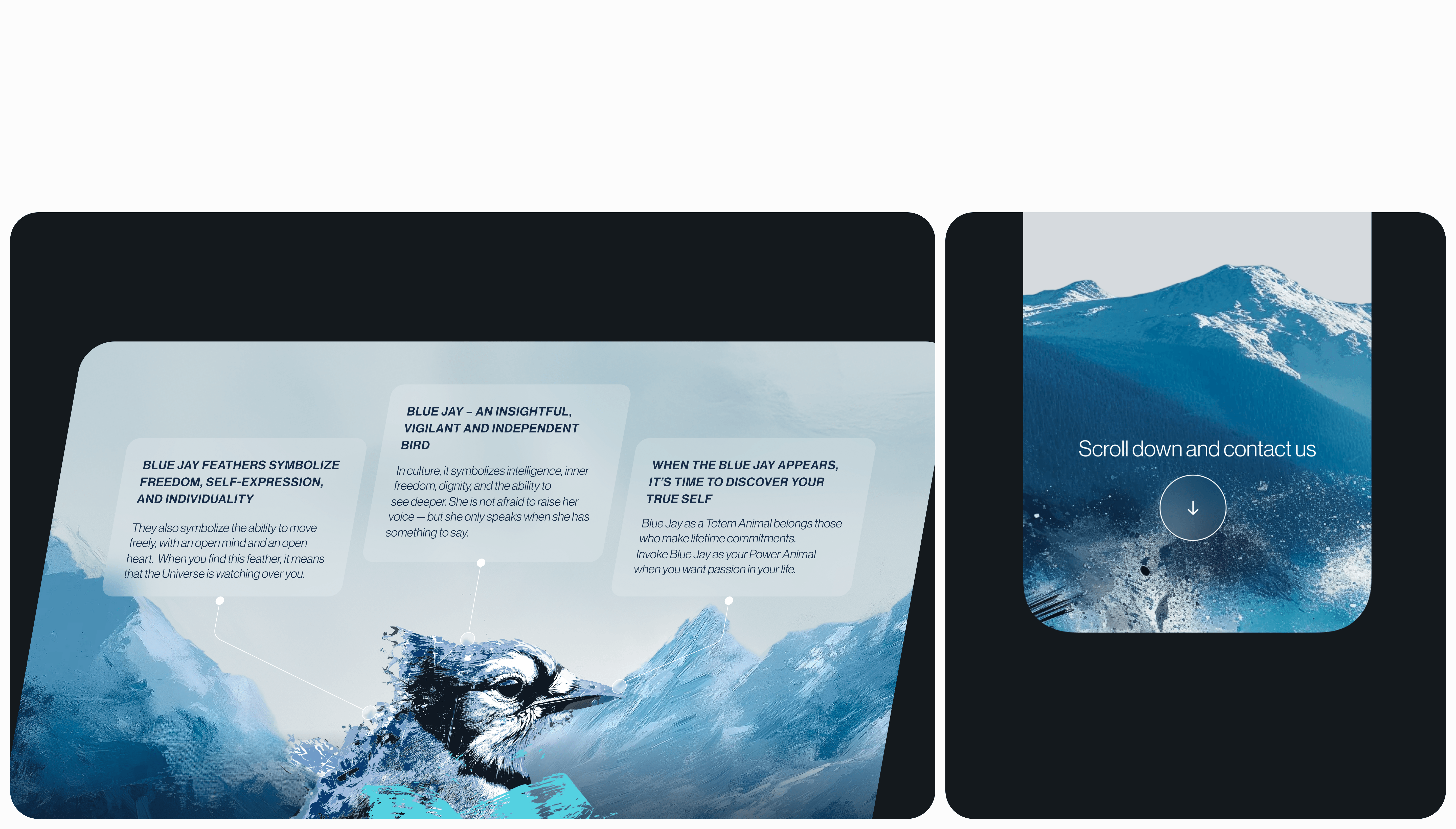 Blue Jay — mockup