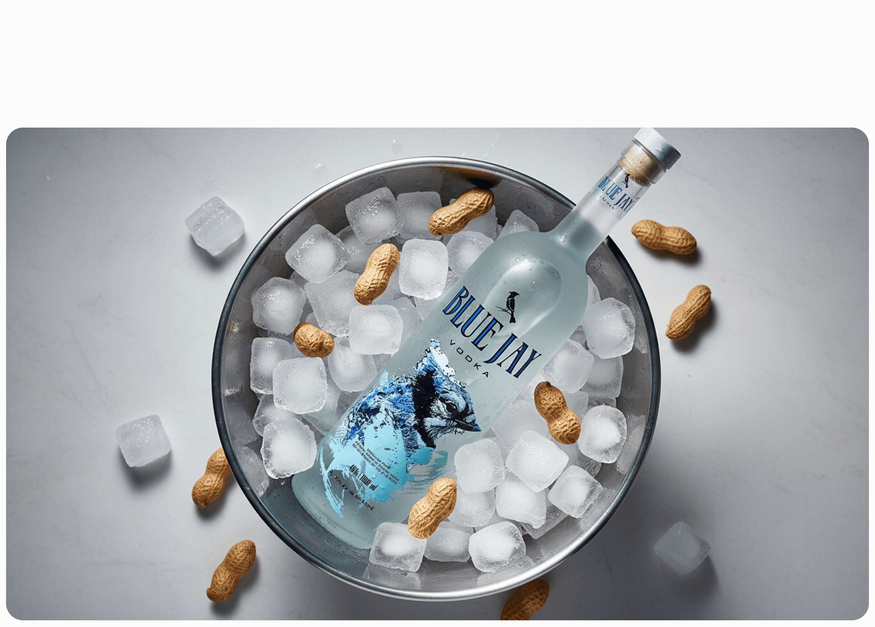 Blue Jay — visuals